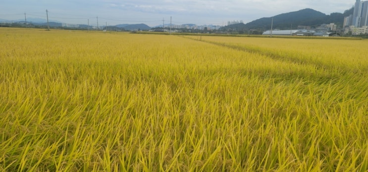  해넘이가 멋진~10월 셋째주 주간일기