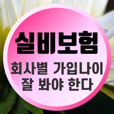  회사마다 다른 실비보험가입나이 알아보았다.