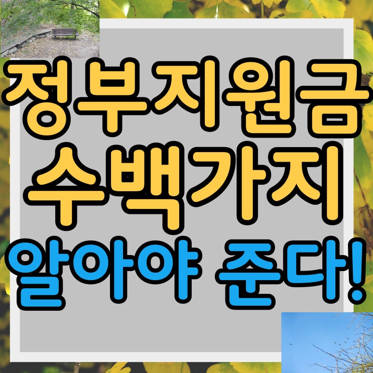  정부지원금 알아야 많이 받는다!