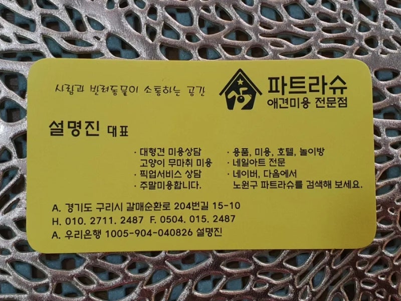 사진 2