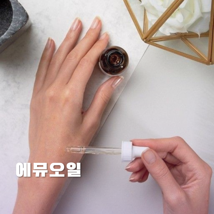 에뮤오일 다양한 효능 및 사용법 에뮤오일 다양한 효능 및 사용법
