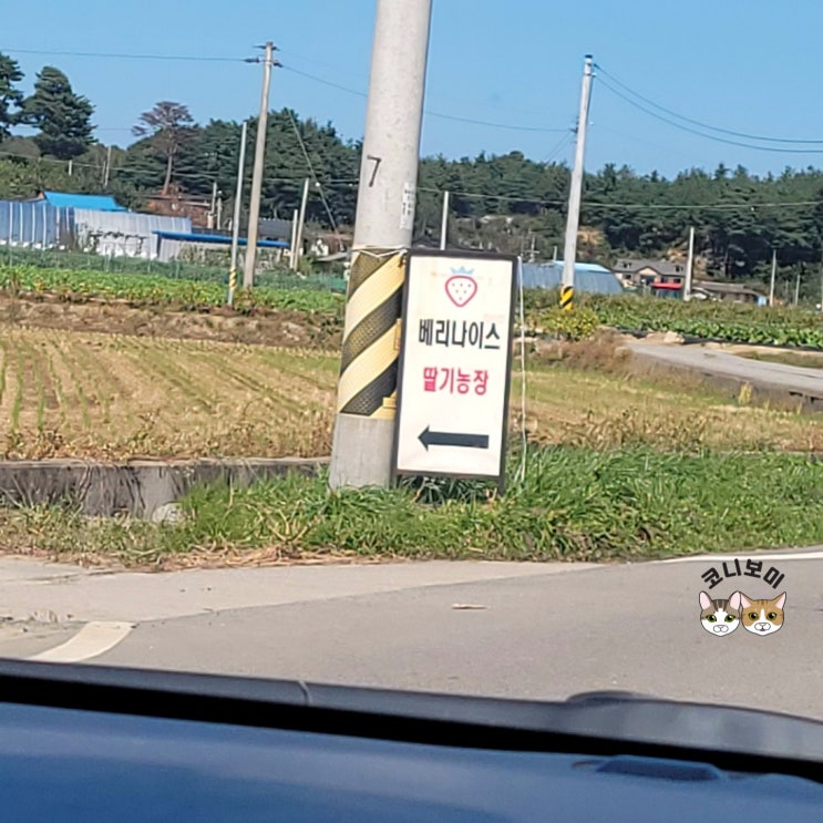 사천진항(사천항)_초보 낚린이 다녀옴 사천진항(사천항)_초보 낚린이 다녀옴