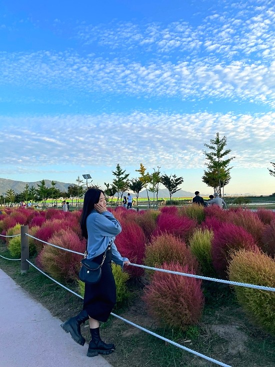 부산근교 가볼만한곳 양산 생태공원 : 황산공원 댑싸리 핑크뮬리 부산근교 가볼만한곳 양산 생태공원 : 황산공원 댑싸리 핑크뮬리