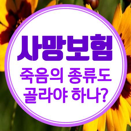  죽음도 골라야 할까? 일반사망보험 필요성 안내