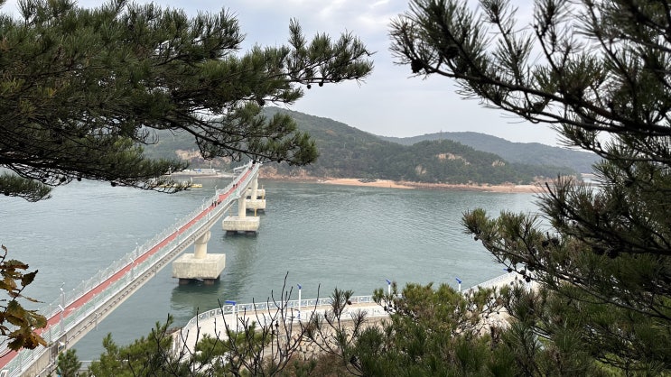  영종도 소무의도 둘레길 트래킹 코스(주차정보): 인천/중구
