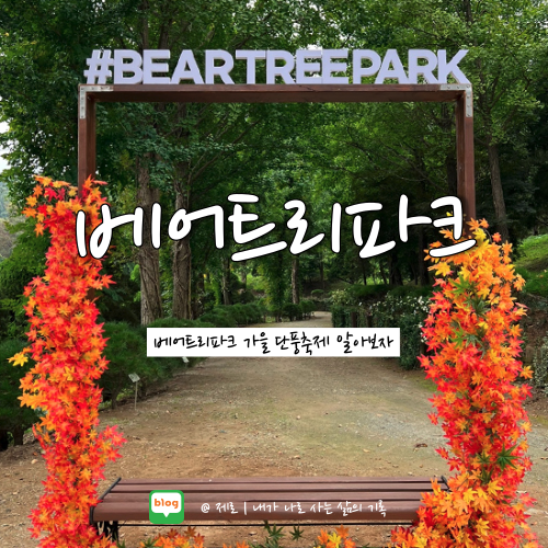  베어트리파크 단풍축제 입장료 유모차 대여 알아보자