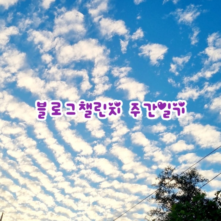  [블챌] 블로그챌린지 주간일기 10/14~10/20