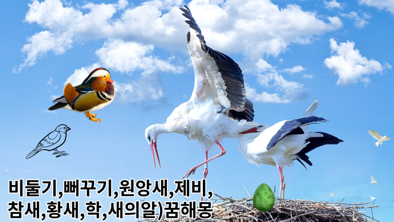 조류에 관한 꿈(비둘기, 뻐꾸기, 원앙새, 제비, 참새, 황새, 학, 새의 알 꿈해몽) 의미