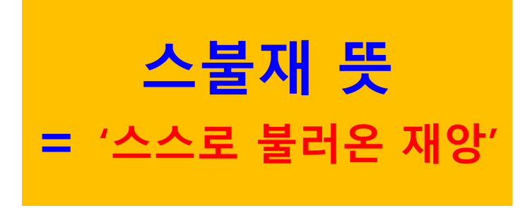  [MZ신조어 알아보기]스불재, 머선129 뜻을 알아보자