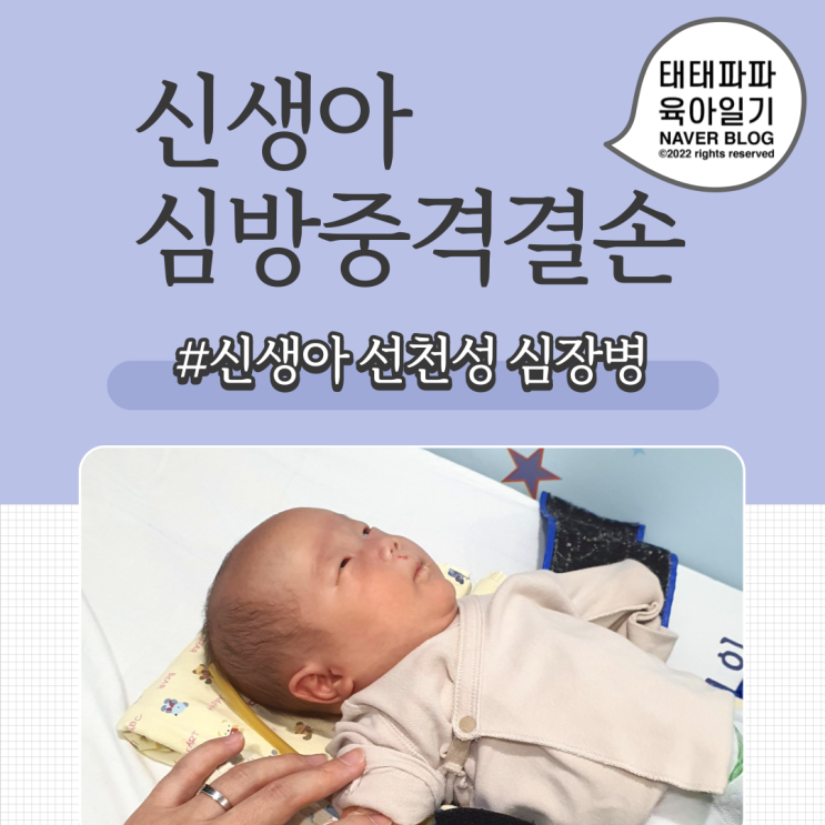  신생아 심방중격결손(ASD), 저혈당증 회복중 이벤트 또 발생...신생아 초음파 비용