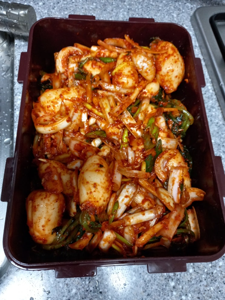  좁은 부엌에서 쉽게 만드는 (꼬마무)알타리 김치(이장우 김치만들기처럼)