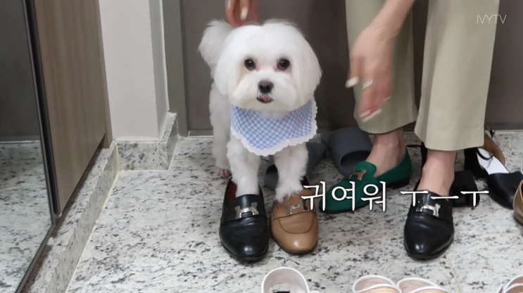  아이비의 신발장 공개 명품 에르메스 마르지엘라 샤넬 로퍼 구두