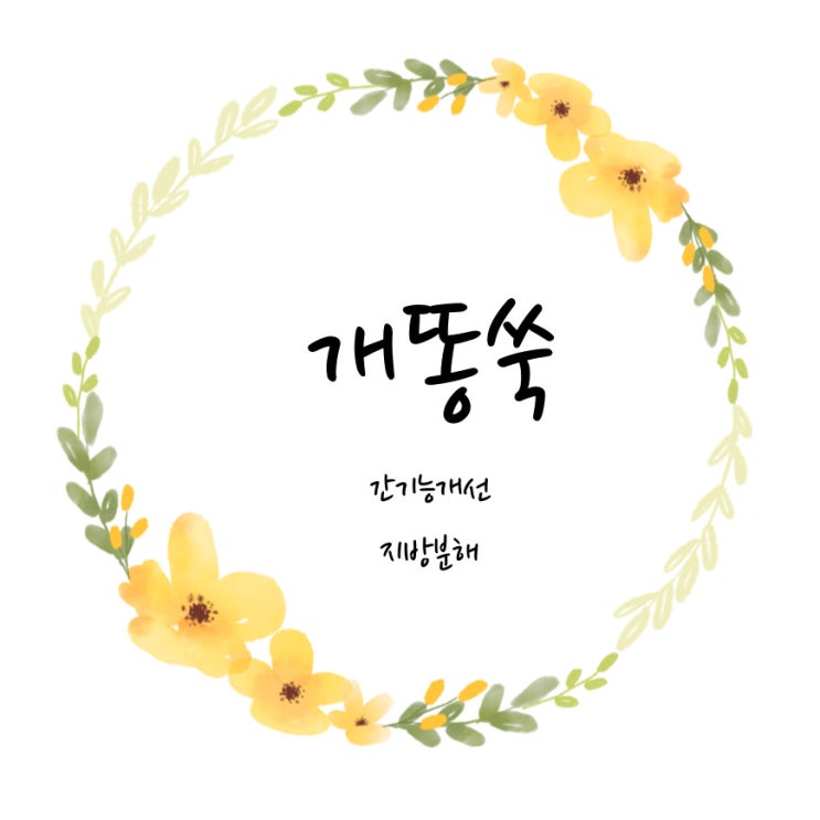 <b>개똥</b>쑥 <b>반려견</b> 간건강에도 좋은 <b>개똥</b>쑥효능