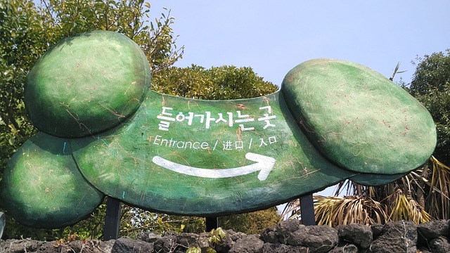  # 제주도도보여행1박2일 #차없이떠나는제주여행코스 # 제주도 자전거여행