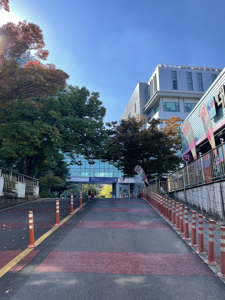  우당탕탕 BLS 재취득이야기...