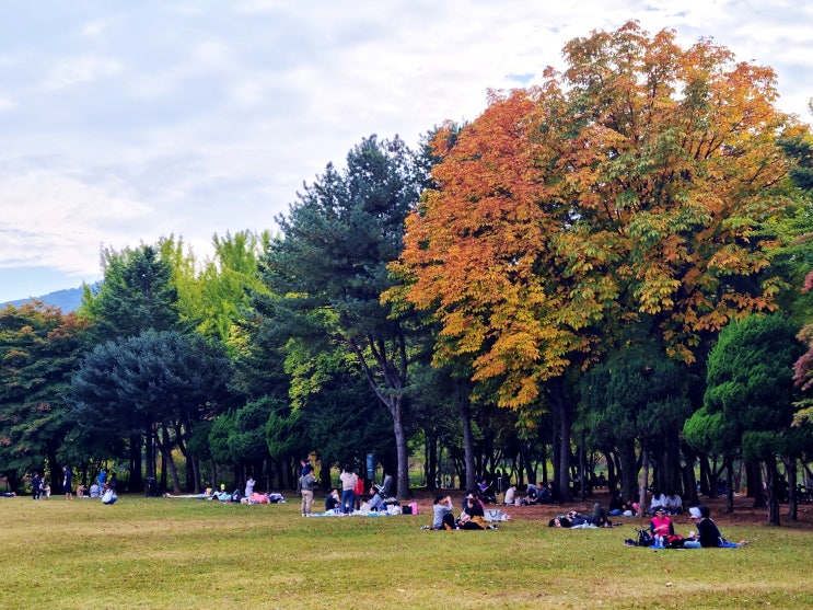 경기도 가볼만한곳 주말 나들이 과천 서울대공원 둘레길 단풍명소.