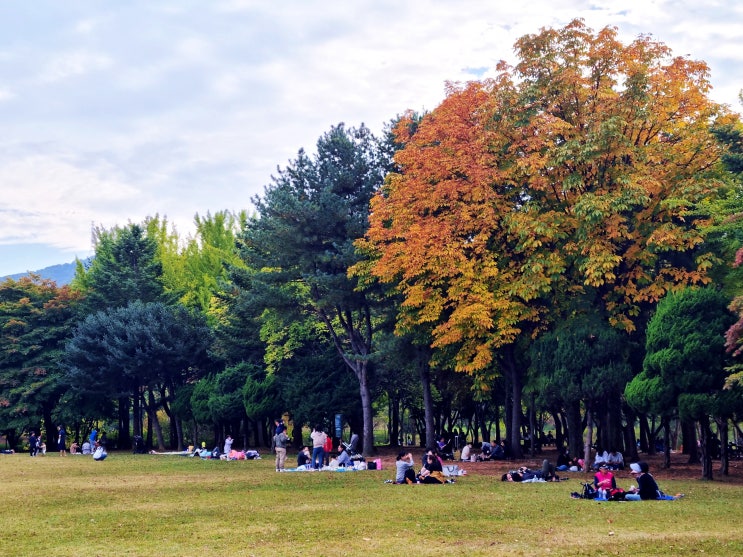  경기도 가볼만한곳 주말 나들이 과천 서울대공원 둘레길 단풍명소.