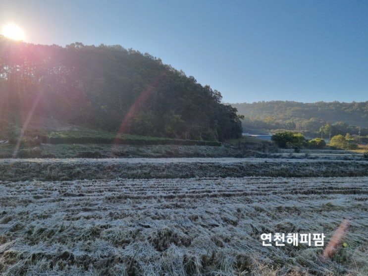  2022년 서리 내린 아침