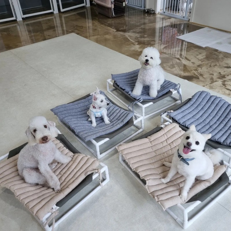 사진 5