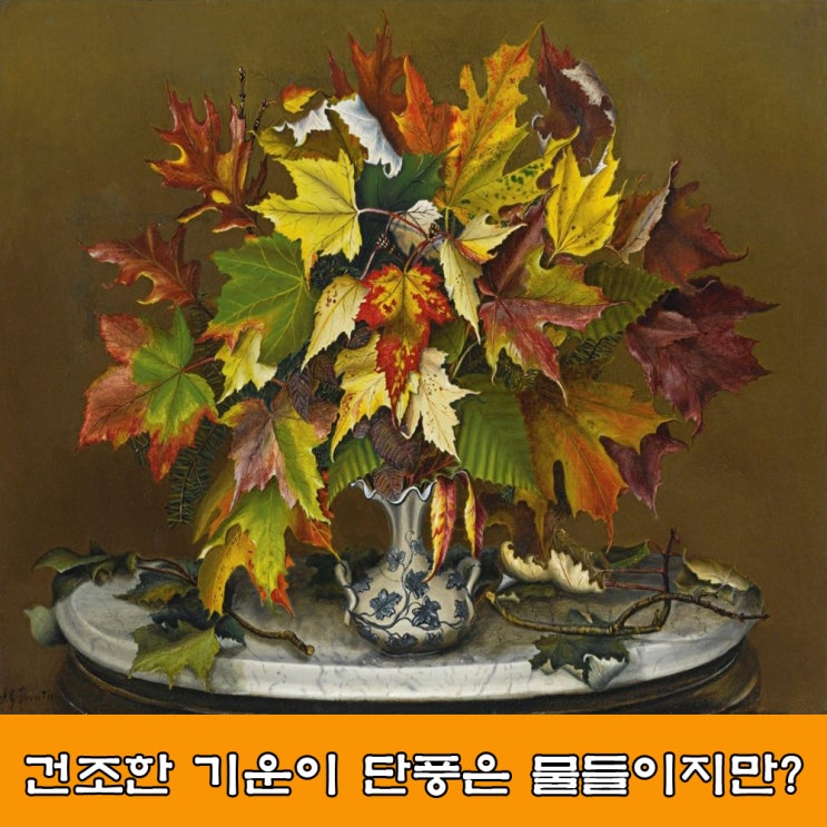  가려움증. 피부 건조증