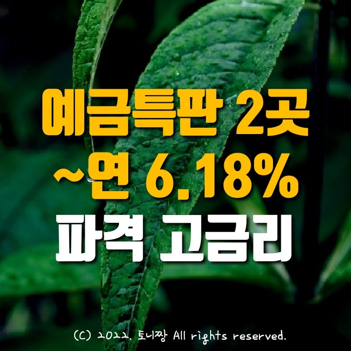 (파격) 정기예금 6.18%. 동원제일, 대신저축은행