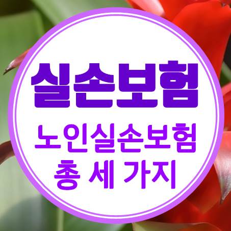  알고 보면 노인실손보험 종류는 두 가지가 아닌 세 가지