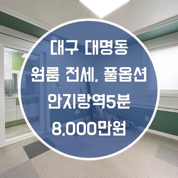  대구 남구 대명동 / 원룸 전세 주방분리형 영대병원역5분 풀옵션 '정말 초록초록한 집'