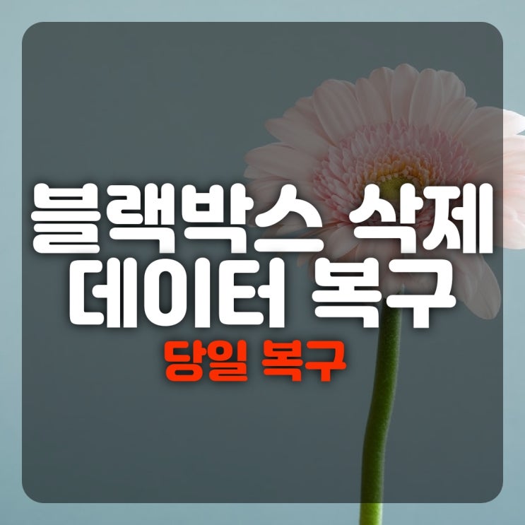 부산 울산 김해 정관 창원 블랙박스복구 블박복원 대처하는 방법은