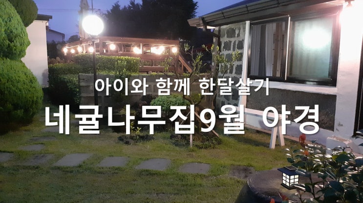 아이와 함께 제주 한달살기 숙소 추천 아이와 함께 제주 한달살기 숙소 추천