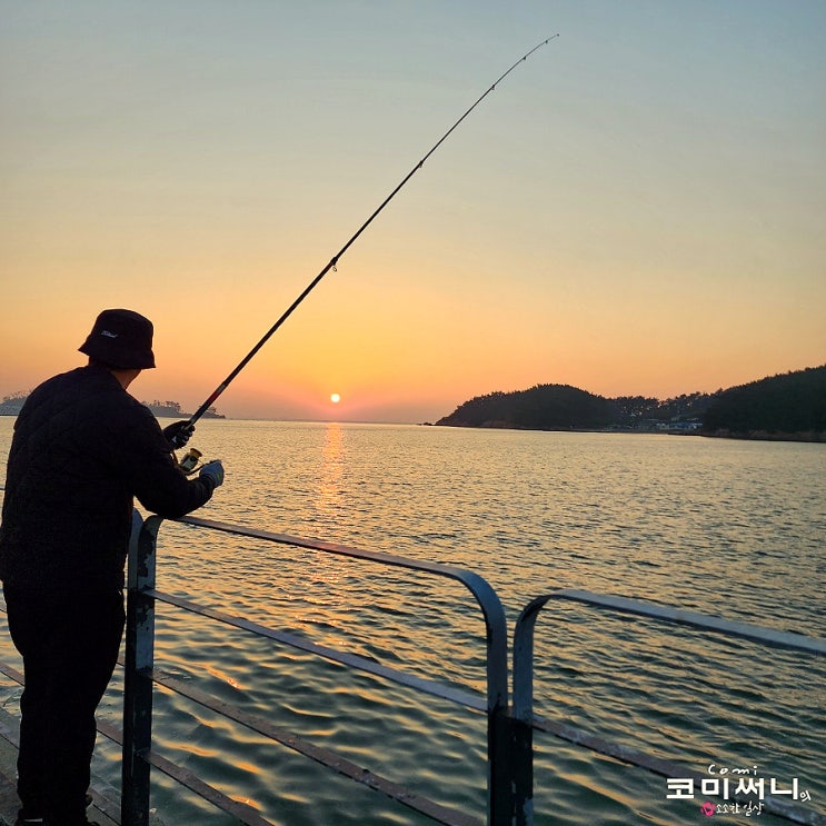 서해 일몰 맛집 태안 몽산포항 원투낚시 당일 여행 집에 와 횟감 손질~