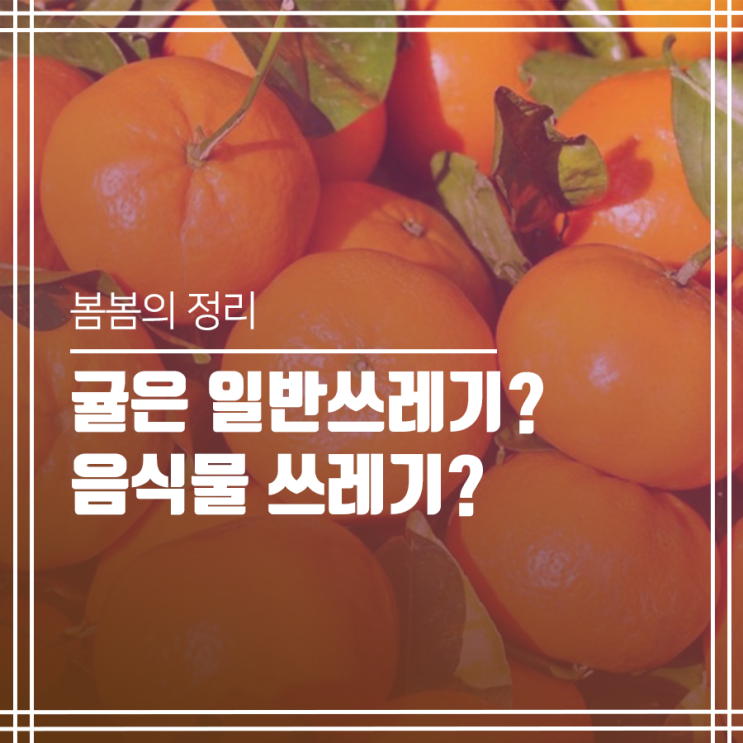  귤껍질 배출방법은 음식물? 일반?