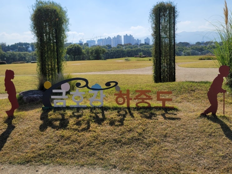  <대구 북구> 하중도~ 대구 꽃구경하는 곳!! 금호강과 어우러진 풍경~ 금호꽃섬