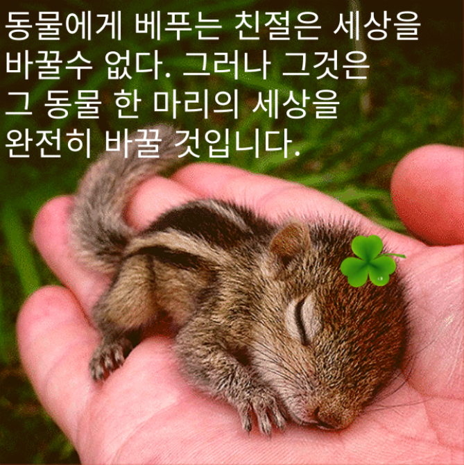  말풍선 짤  60