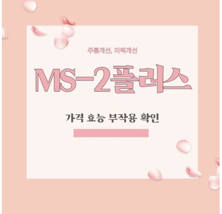  ms2플러스 가격 효능 부작용 후기 확인하기