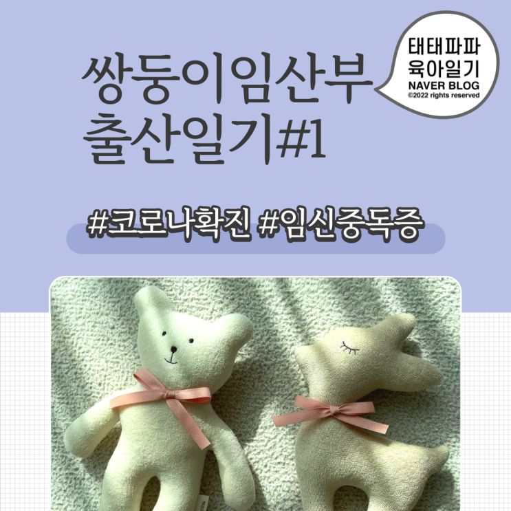  고위험산모 출산일기, 쌍둥이 임산부코로나 확진, 갈비뼈 골절, 임신중독증 EP1