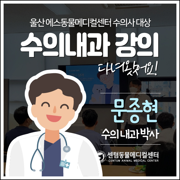 울산 에스동물메디컬센터 수의사 대상 수의내과 강의 다녀왔어요! / 문종현 수의내과 박사 신경 종양 원장 (센텀동물메디컬센터)