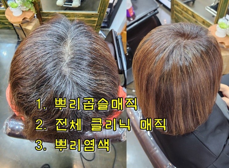  전주 중화산동 곱슬머리 뿌리매직, 전체클리닉, 뿌리염색 후기