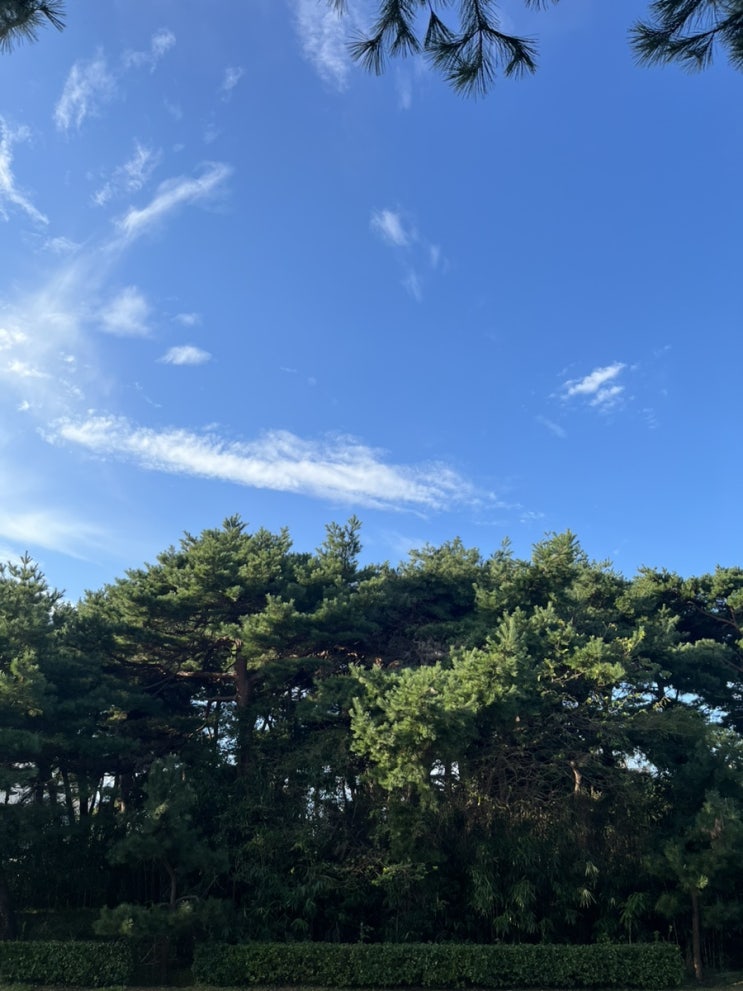  나이 들어서 어떻게 살 것인가?