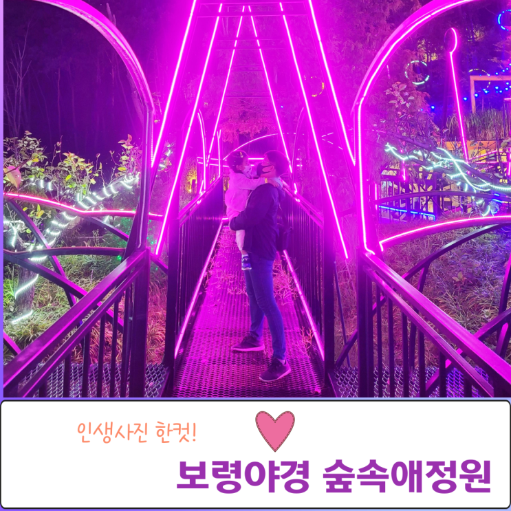  보령야경 숲속애빛의정원 인생사진 한컷
