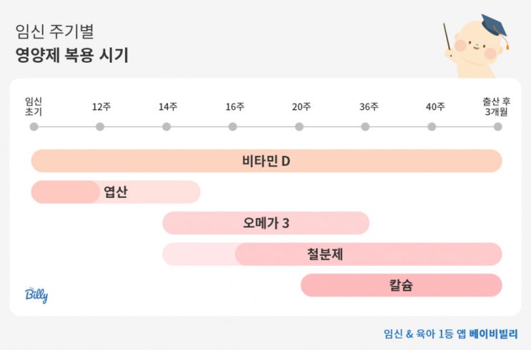  임산부 주수별 영양제 복용 시기 완벽 정리