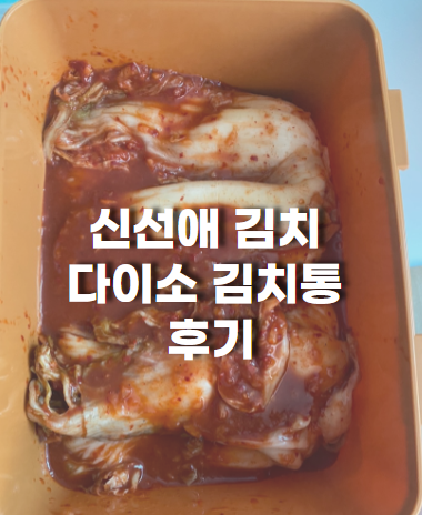 배추김치 추천, 신선애 김치 와 다이소 김치통