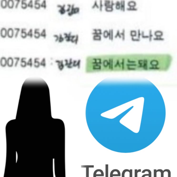 박원순 여비서 텔레그램 톡 대화 내용 일부 공개하다 사랑해요 꿈에서 만나요