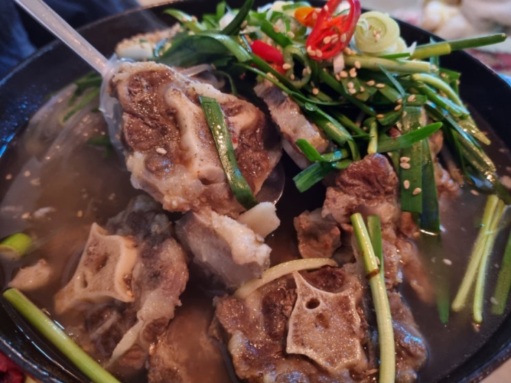  [강남] 논현역 술집 다님길 뭉티기와 꼬리찜 맛집