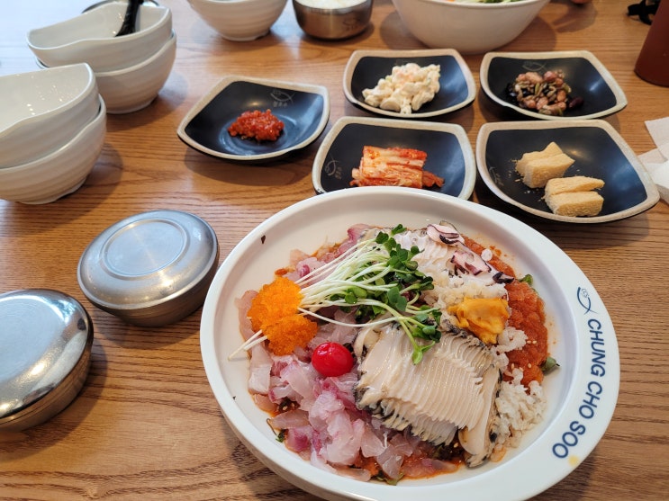 속초 맛집 강남 압구정 맛집 추천 : 청초수 물회