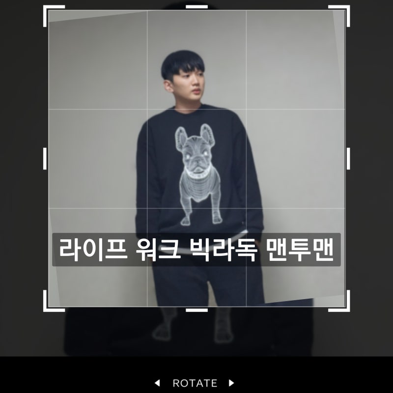 라이프워크 맨투맨 [라독 빅로고 맨투맨, 스웻셔츠]