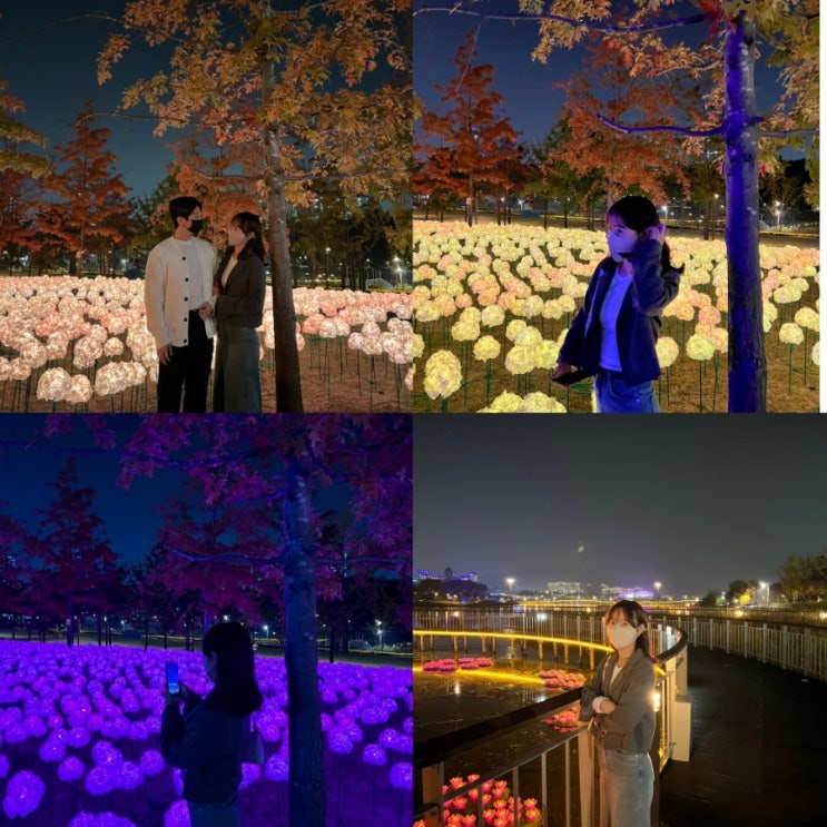  세종중앙공원 LED 수국꽃정원(별빛정원) 다녀온 후기 [세종가볼만한곳/데이트코스/주말나들이]