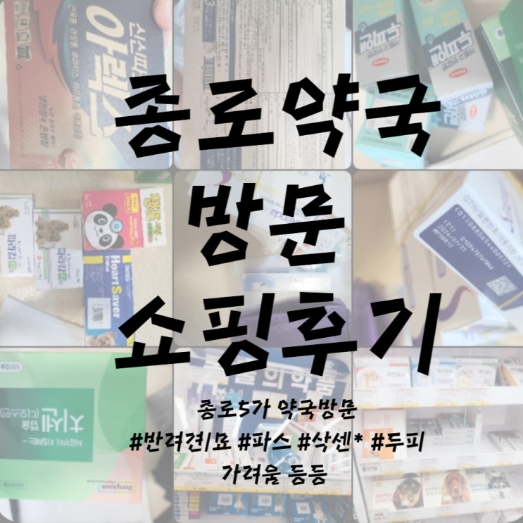  종로5가약국 종로보령약국