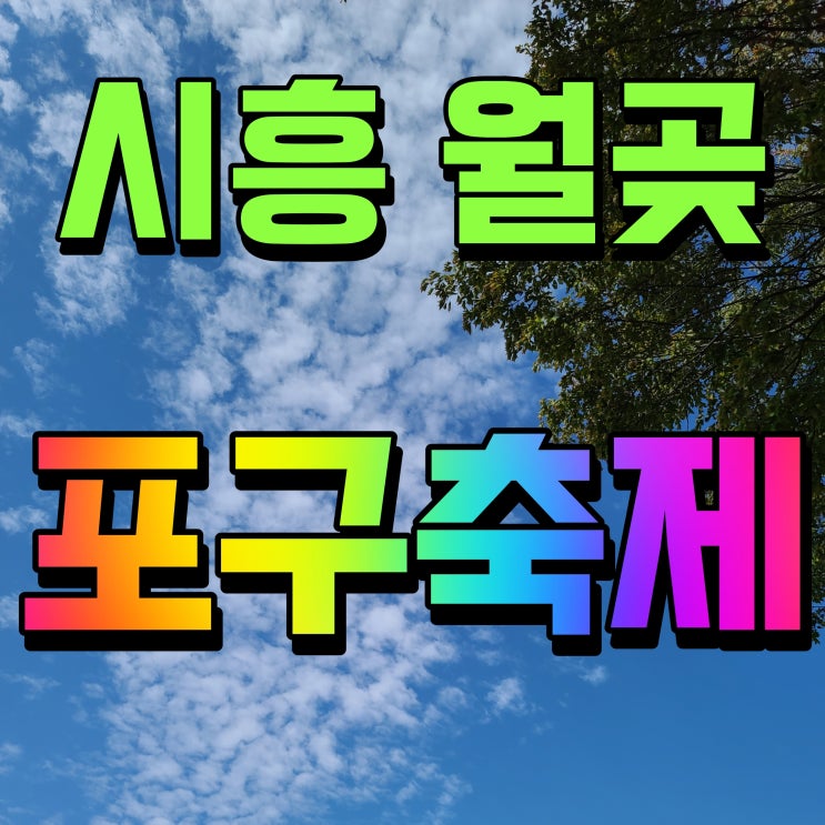 시흥월곶포구축제 가수 라인업 및 행사 일정 안내 나태주 김태연