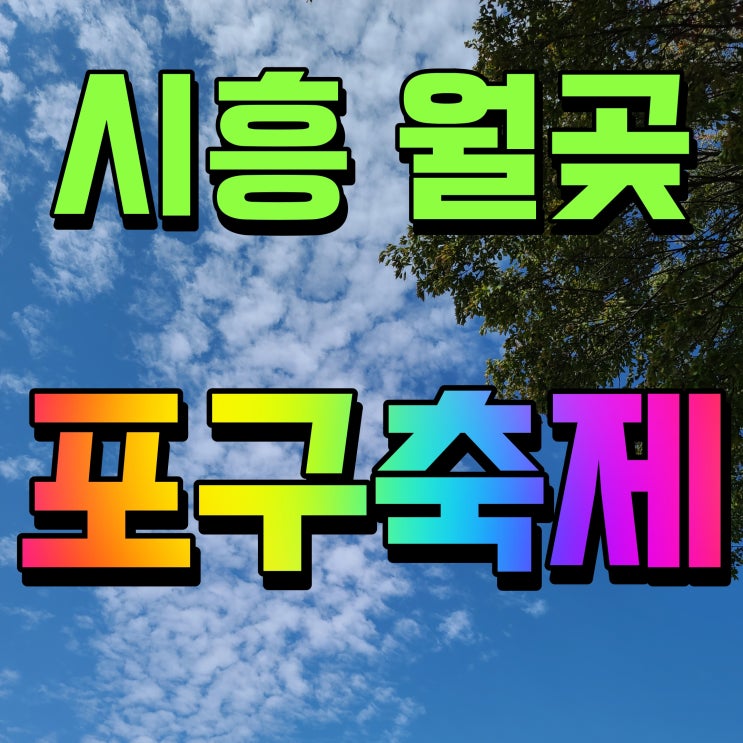  시흥월곶포구축제 가수 라인업 및 행사 일정 안내 나태주 김태연