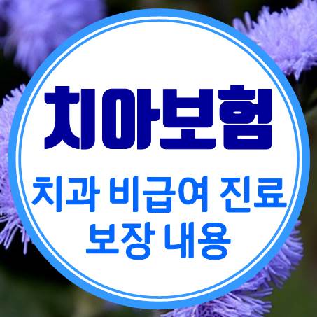  치과 비급여 진료비에 대한 무진단형치아보험 보장 내용